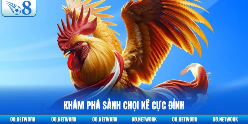 Khám phá sảnh chọi kê cực đỉnh