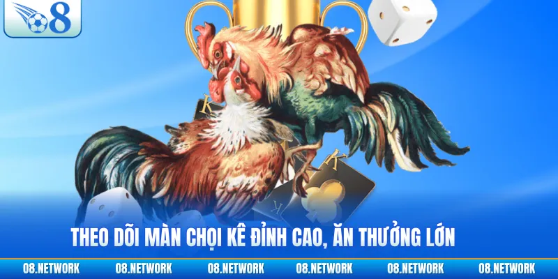 Theo dõi màn chọi kê đỉnh cao, ăn thưởng lớn